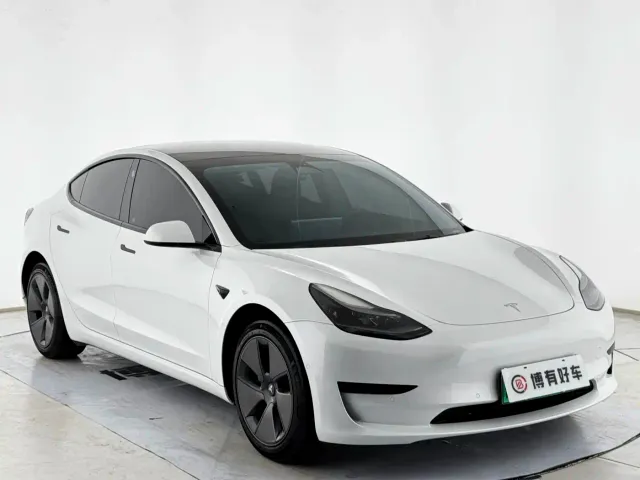 Tesla Model 3 2022 Model Rear-Wheel Drive Version — Фото автомобиля 3