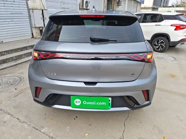 BYD Dolphin 2024 Glory Edition 420km Freedom Edition — Фото автомобиля 5