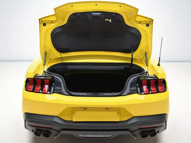 Ford Mustang — Фото автомобиля 10