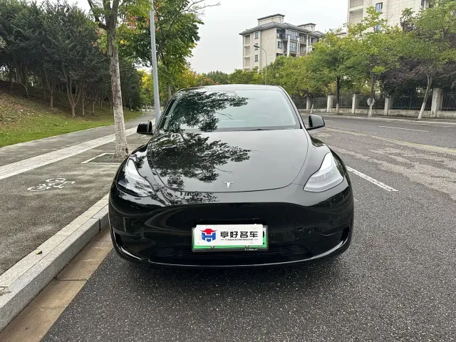 Tesla Model Y — Фото автомобиля 9