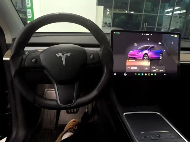 Tesla Model Y — Фото автомобиля 11