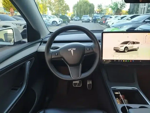 Tesla Model Y — Фото автомобиля 10