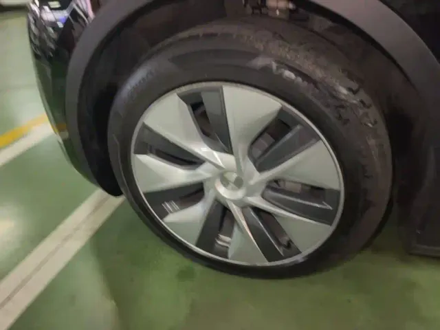 Tesla Model Y — Фото автомобиля 22