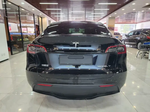 Tesla Model Y — Фото автомобиля 4