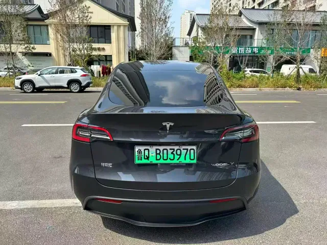 Tesla Model Y — Фото автомобиля 7