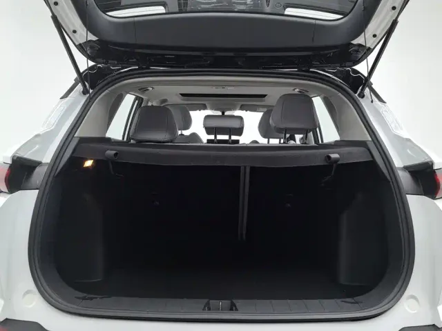 Geely Binyue 2025 Bin Yue L 1.5TD DCT Star Diamond — Фото автомобиля 16