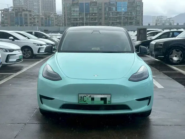 Tesla Model Y — Фото автомобиля 2