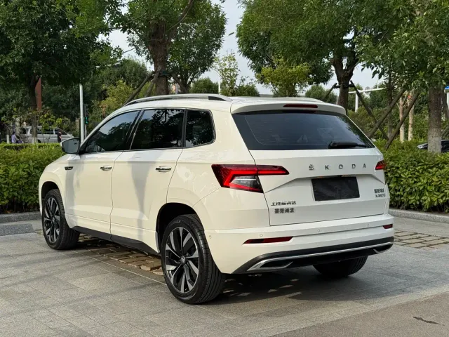 Skoda Karoq — Фото автомобиля 8