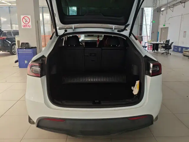 Tesla Model Y — Фото автомобиля 9