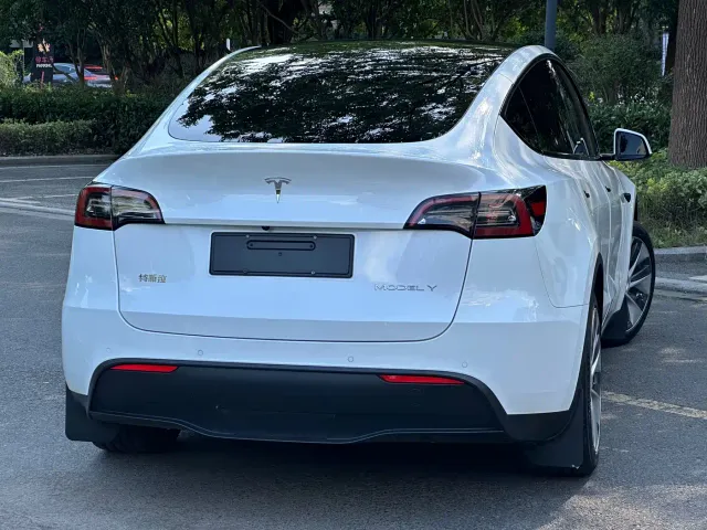 Tesla Model Y — Фото автомобиля 7