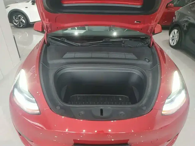 Tesla Model Y — Фото автомобиля 15