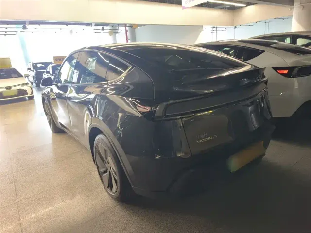 Tesla Model Y — Фото автомобиля 22