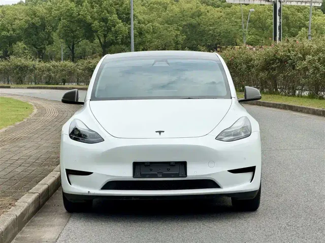 Tesla Model Y — Фото автомобиля 2