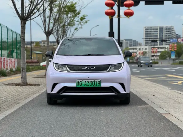 BYD Dolphin — Фото автомобиля 2