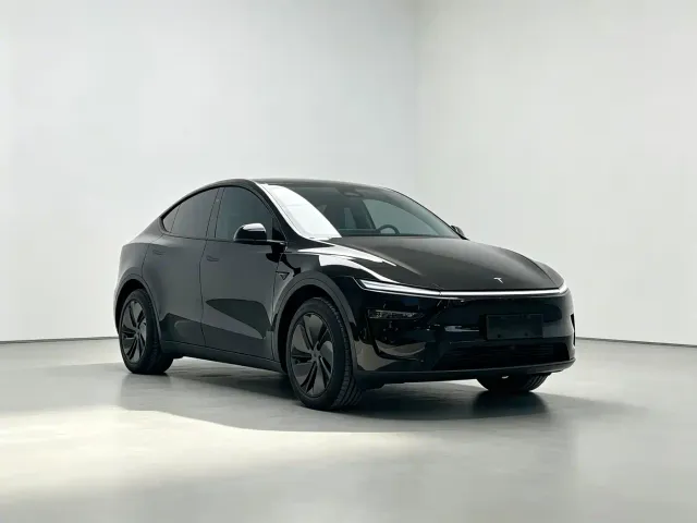 Tesla Model Y — Фото автомобиля 2