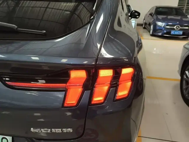 Ford Mustang Mach-E — Фото автомобиля 7