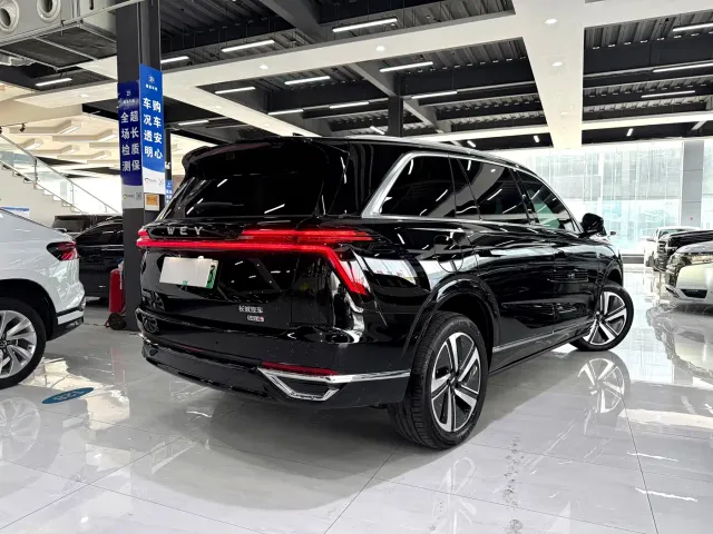 Wey Lanshan — Фото автомобиля 9