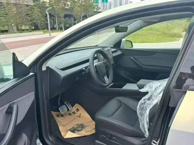 Tesla Model Y — Фото автомобиля 4