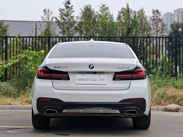 BMW 5 Series — Фото автомобиля 5