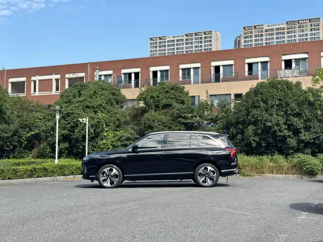 Wey Lanshan — Фото автомобиля 4
