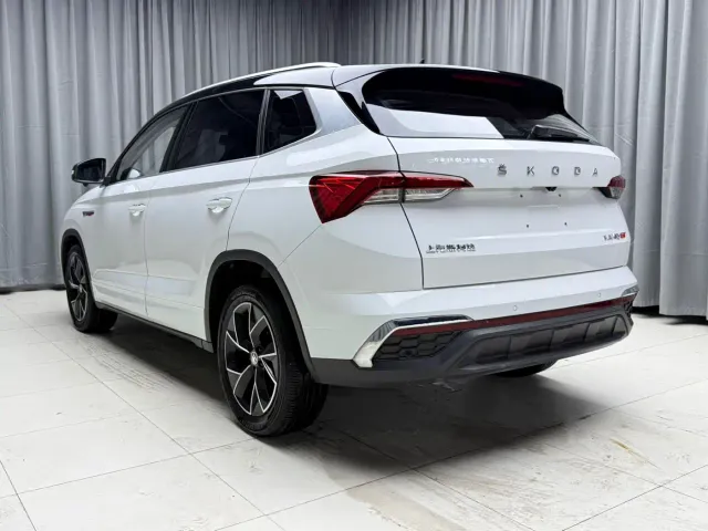 Skoda Kamiq — Фото автомобиля 6