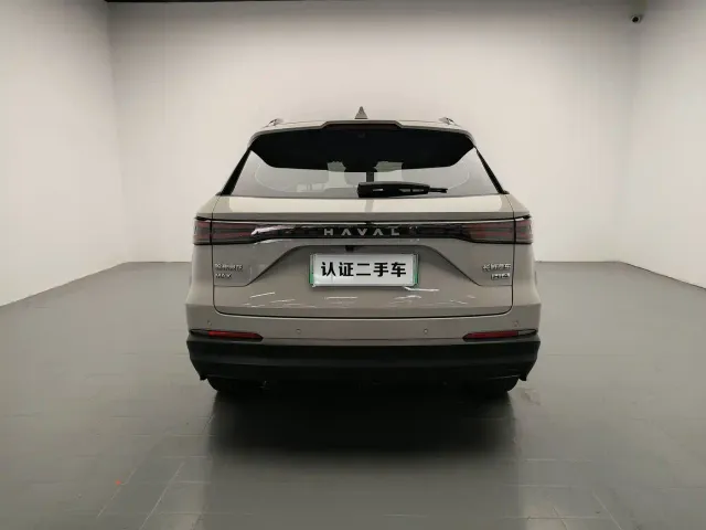 Haval Xiaolong MAX — Фото автомобиля 6