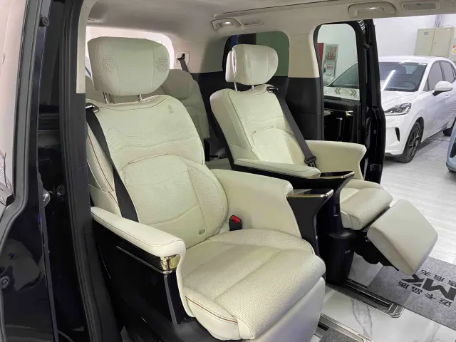 GAC Trumpchi Trumpchi E9 2023 E9 Grandmaster — Фото автомобиля 10