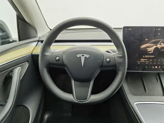 Tesla Model Y — Фото автомобиля 11