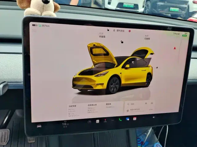 Tesla Model Y — Фото автомобиля 14