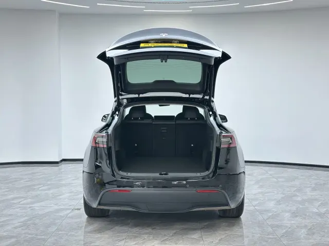 Tesla Model Y — Фото автомобиля 10
