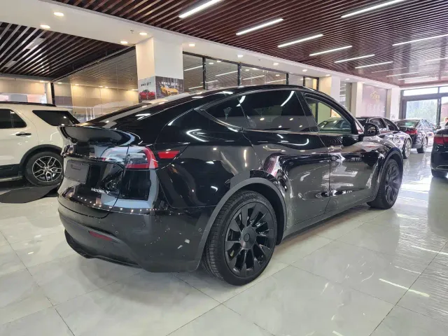 Tesla Model Y — Фото автомобиля 6