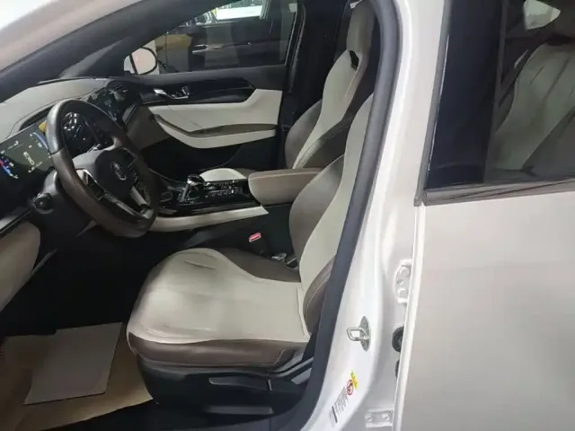 BYD Qin PLUS 2024 Glory Edition DM-i 55KM Leading — Фото автомобиля 14