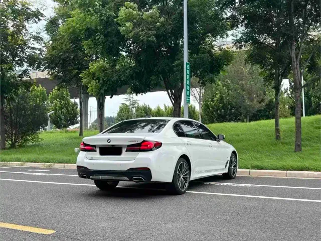 BMW 5 Series — Фото автомобиля 9