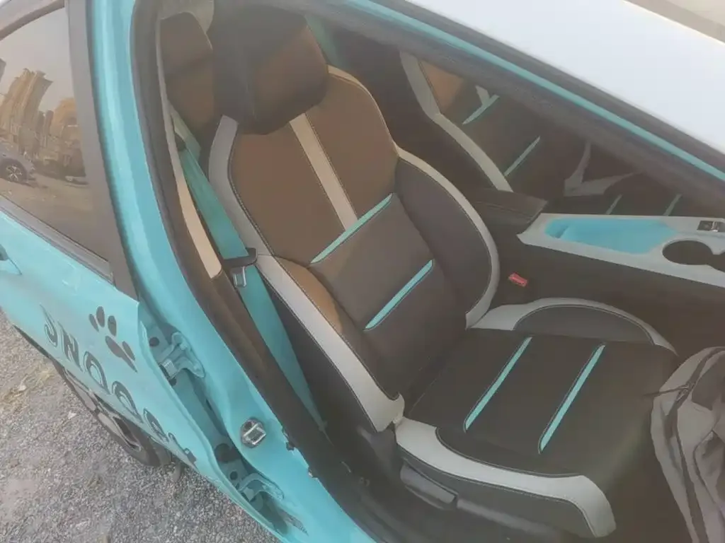 Sehol Flower Fairy 2021 Jimei Edition 302km Luxury — Фото автомобиля 18