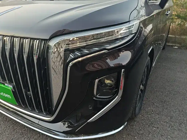 Hongqi HQ9 PHEV — Фото автомобиля 23