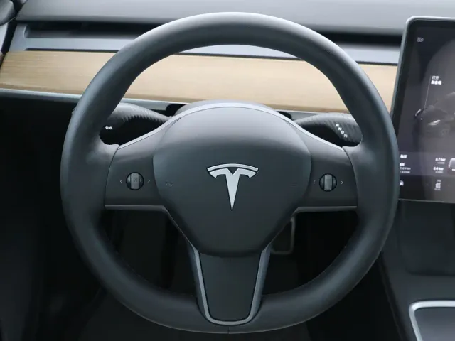 Tesla Model Y — Фото автомобиля 8