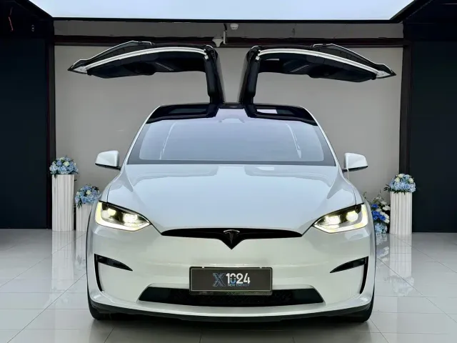Tesla Model X — Фото автомобиля 2