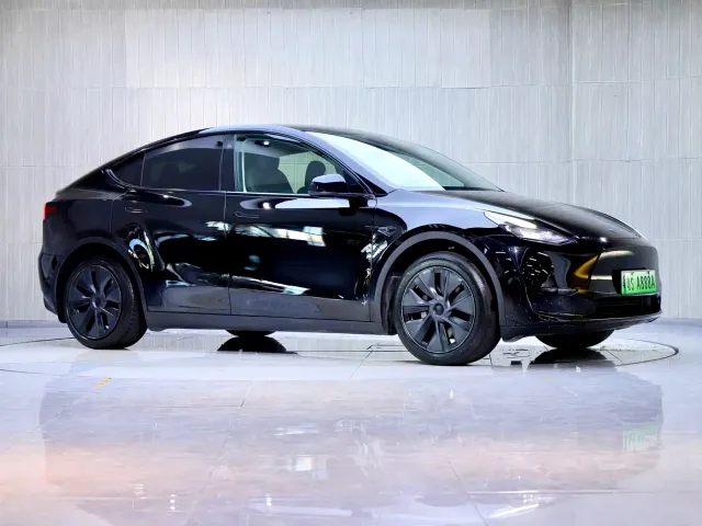 Tesla Model Y — Фото автомобиля 3