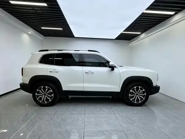 Haval Big Dog — Фото автомобиля 11