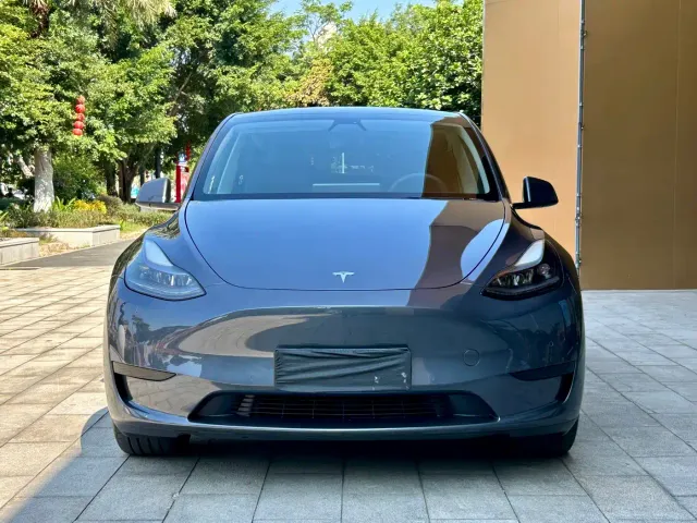 Tesla Model Y — Фото автомобиля 2