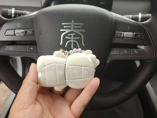 BYD Qin PLUS — Фото автомобиля 8