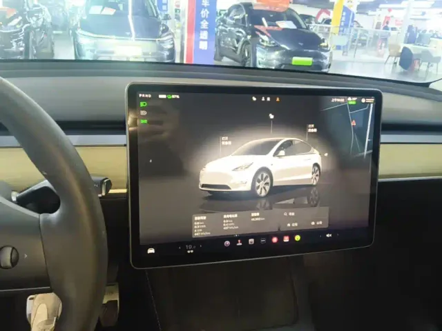 Tesla Model Y — Фото автомобиля 12