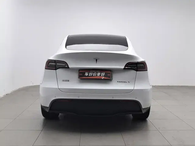 Tesla Model Y — Фото автомобиля 4