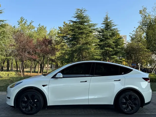 Tesla Model Y — Фото автомобиля 6