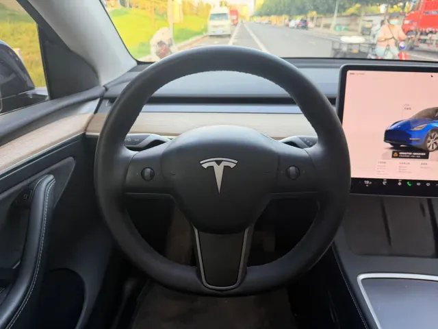 Tesla Model Y — Фото автомобиля 10