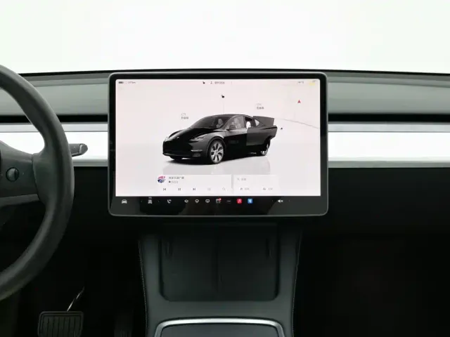 Tesla Model Y — Фото автомобиля 12