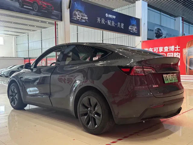 Tesla Model Y — Фото автомобиля 6