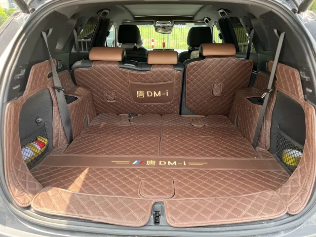 BYD Tang New Energy 2021 DM-i 112KM Premium — Фото автомобиля 14