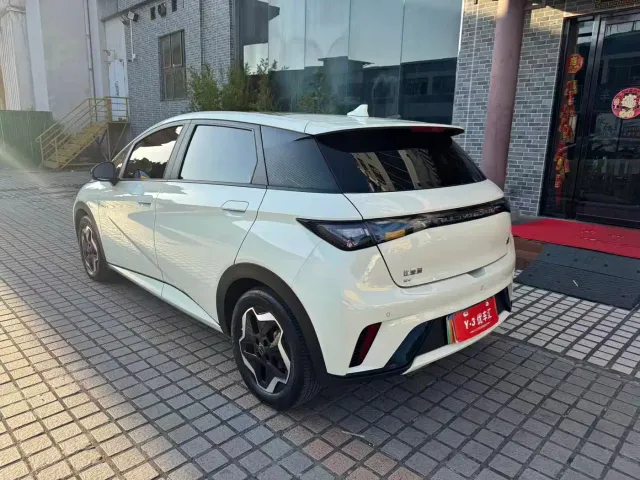 BYD Dolphin — Фото автомобиля 5