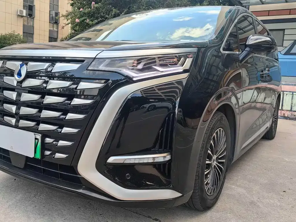 Denza Denza D9 2022 DM-i 1040 Premium — Фото автомобиля 4